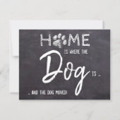 家は犬が動いている場所 案内状 (正面)