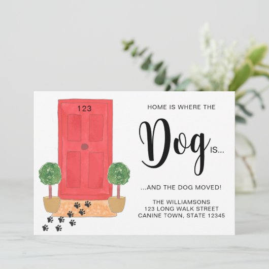 家は犬が動いている場所 案内状 (スタンド正面)