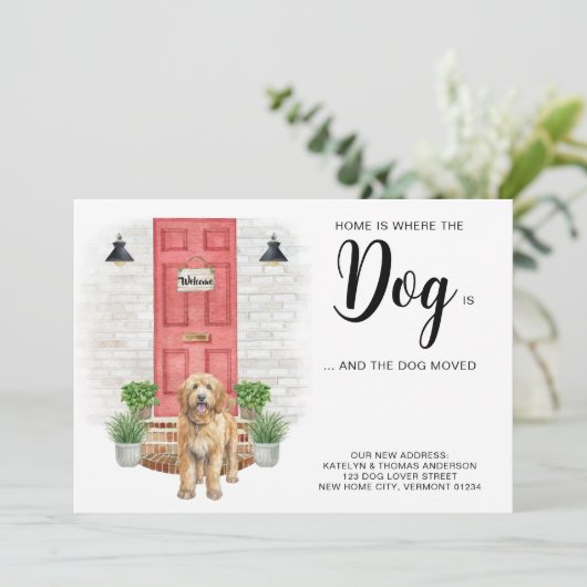 家は犬が移動している引っ越しましたの場所 案内状 (スタンド正面)