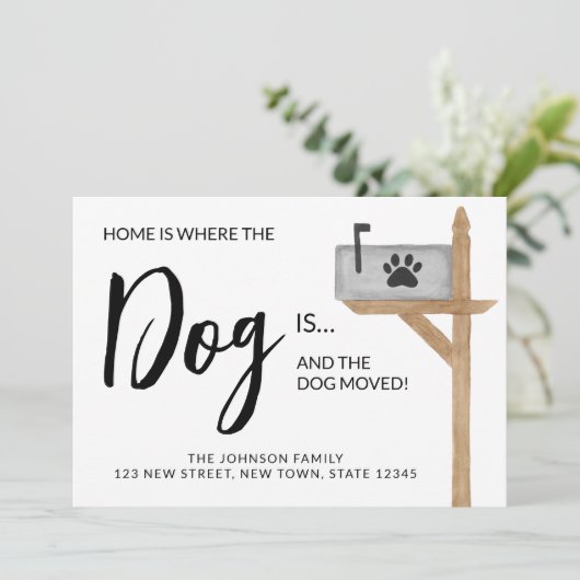 家は犬が移動する引っ越しました犬である 案内状 (スタンド正面)