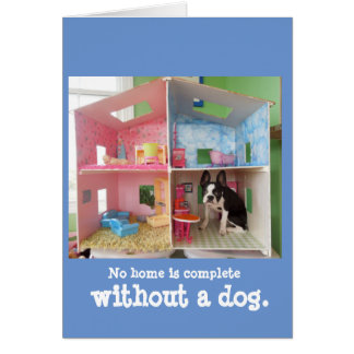 家は犬なしで完全ではないです