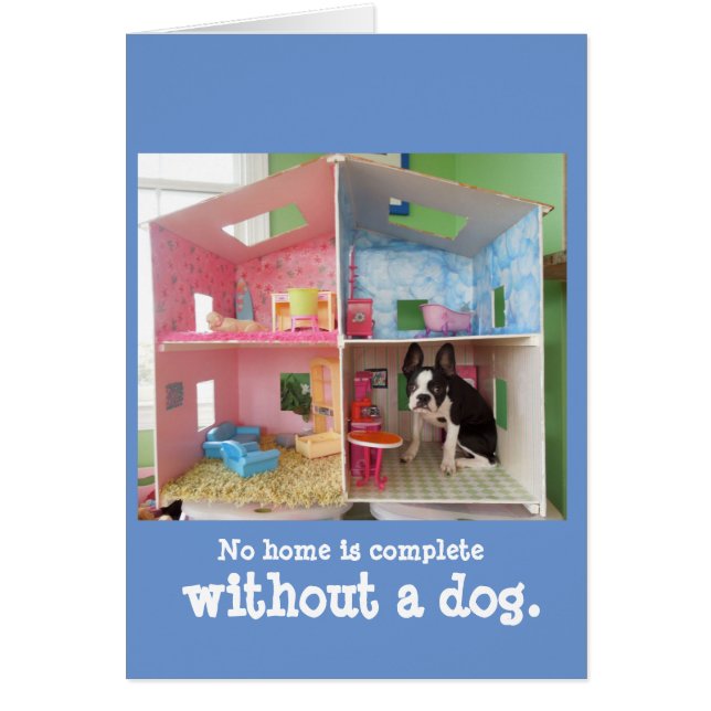 家は犬なしで完全ではないです (正面)