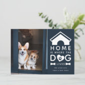 家は犬の住む場所 案内状 (スタンド正面)