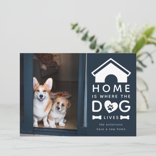 家は犬の住む場所 案内状 (スタンド正面)