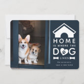 家は犬の住む場所 案内状 (正面)