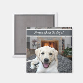 家は犬の居場所 マグネット (正面/裏面)