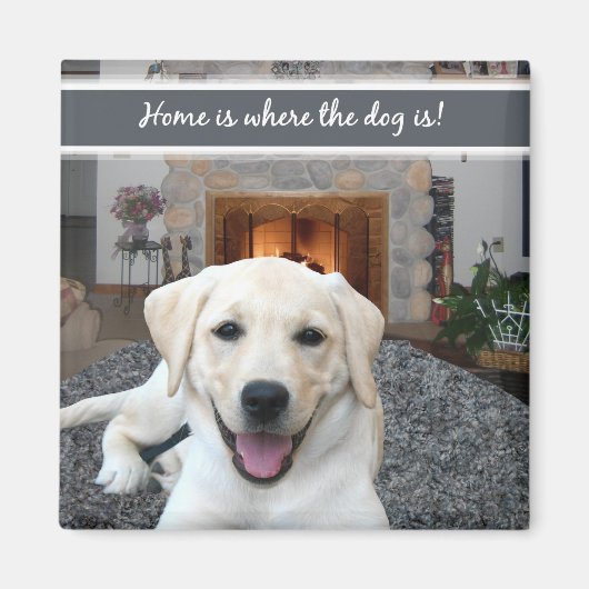 家は犬の居場所 マグネット (正面)