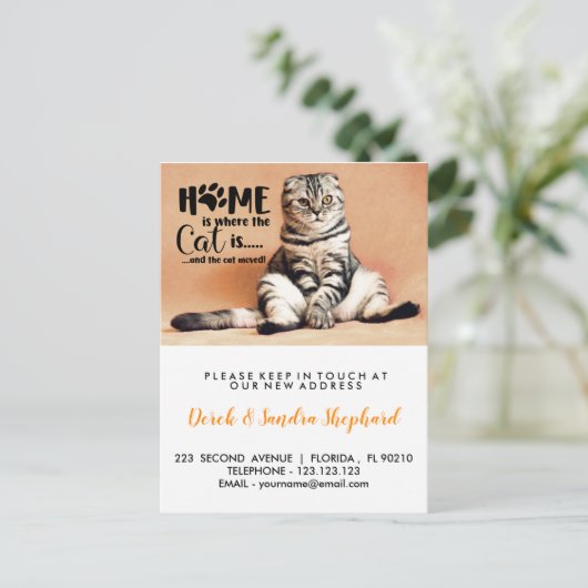 家は猫が動いている発表 案内ポストカード (スタンド正面)