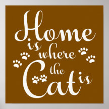 家は猫が小さな足である場所