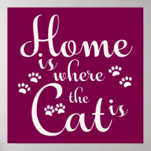 家は猫が小さな足である場所