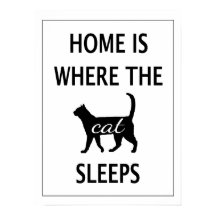 家は猫が眠る場所