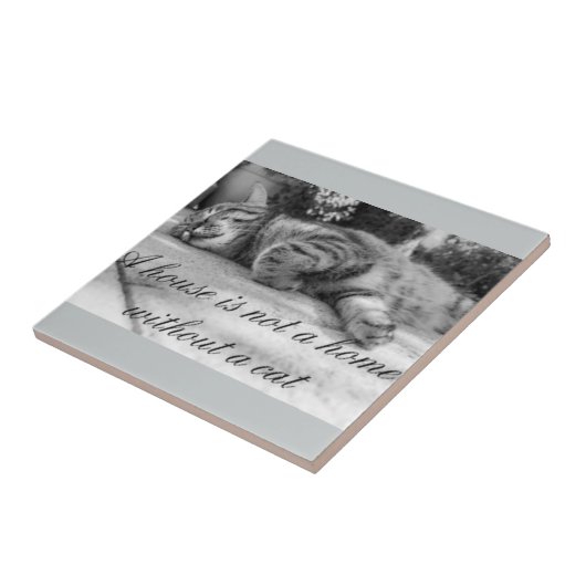 家は猫のタイルなしでは家ではないです タイル (側面)