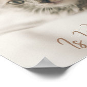 家は猫の居場所 ポスター (角)