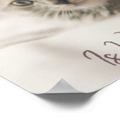 家は猫の居場所 ポスター (角)