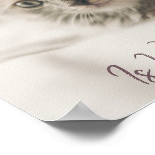 家は猫の居場所 ポスター (角)