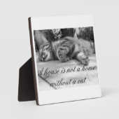 家は猫の額のない家ではない！ フォトプラーク (正面)