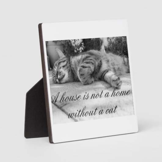 家は猫の額のない家ではない！ フォトプラーク (正面)