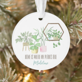 家は私の植物が水色である オーナメント