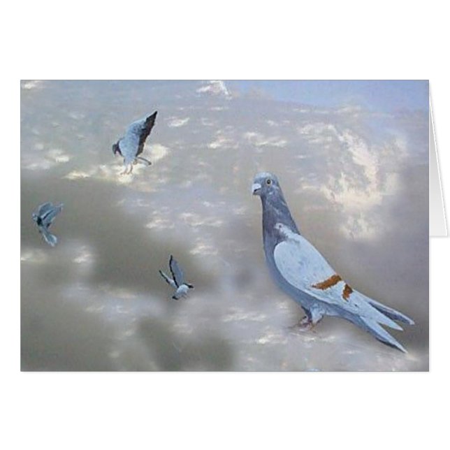 家へ帰るPidgeonsの鳥カード (正面横)