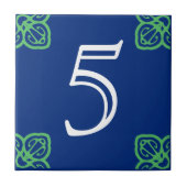 家スペインの番瓦 タイル (正面)