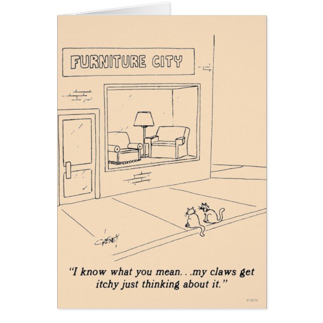 家具を引き裂いている猫 (正面)