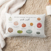 家宝かぼちゃ ランバークッション (ブランケット)