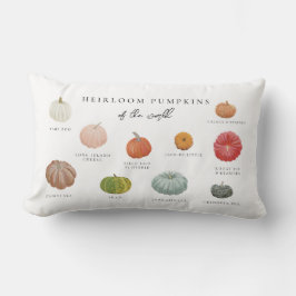 家宝かぼちゃ ランバークッション