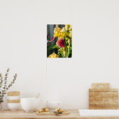 家宝アイリス ポスター (キッチン)