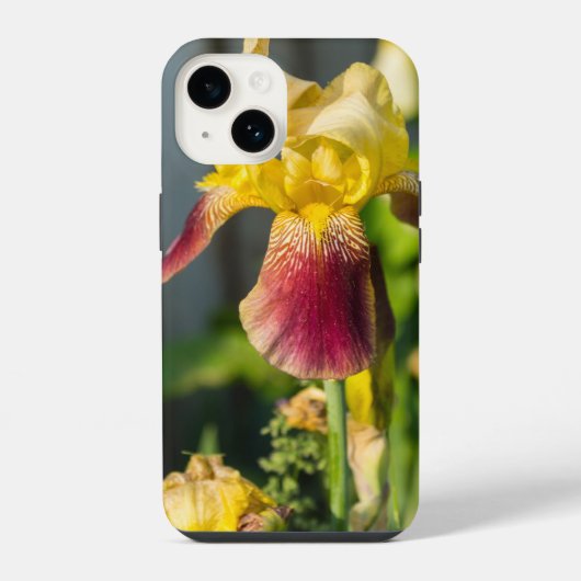 家宝アイリスiPhoneケース iPhoneケース (裏面)