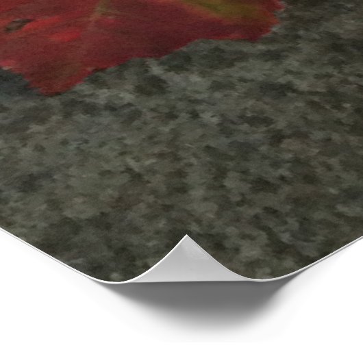 家宝トマト ポスター (角)