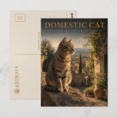 家庭の猫の庭の小庭 ANIMALS ポストカード (正面/裏面)