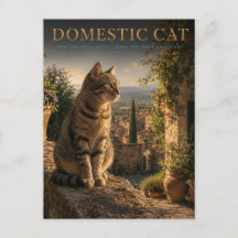 家庭の猫の庭の小庭 ANIMALS