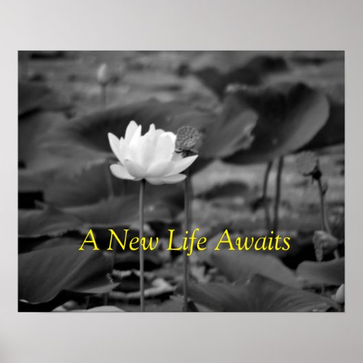 家庭内暴力の擁護ポスター3 ポスター (正面)