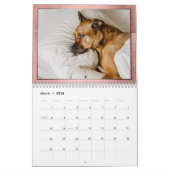 家庭生活 |コーラル年(写真) |写真12 カレンダー (3月 2026)