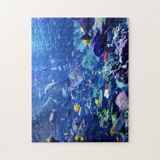 家庭魚学院 ジグソーパズル (縦)