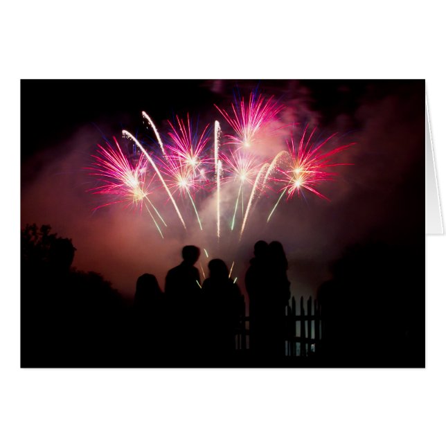 家族で楽しめる花火 (正面横)