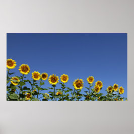 家族に加わる ポスター