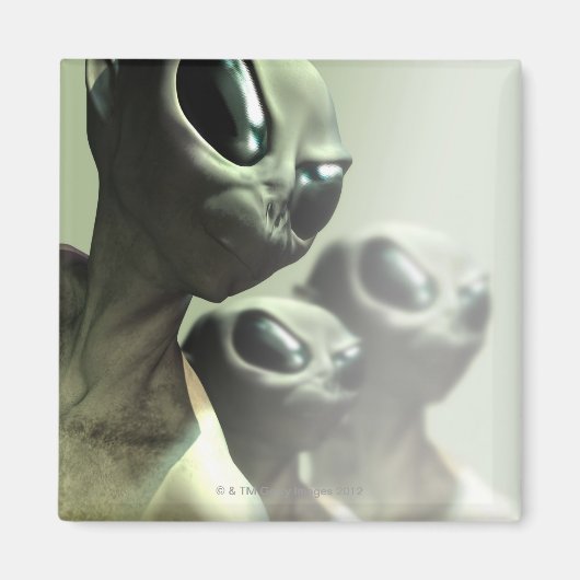 家族のエイリアンが集まった。 マグネット (正面)