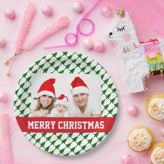 家族のクリスマスの写真のパーティーのプレート ペーパープレート (パーティー)