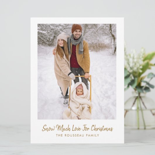 家族のクリスマス写真の雪 シーズンカード (スタンド正面)