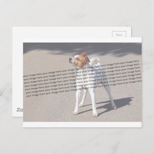 家族のペットの写真 ポストカード (正面/裏面)