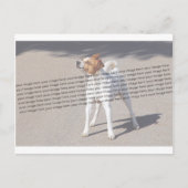 家族のペットの写真 ポストカード (正面)