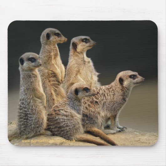 家族のポートレートのマウスマット マウスパッド (正面)