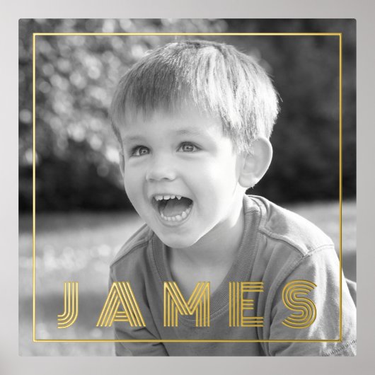 家族の写真と名前の薄縁どい金ゴールドまたは銀 箔ポスター (正面)