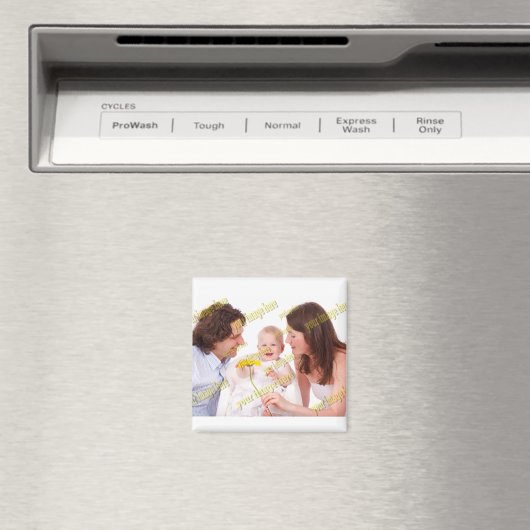 家族の写真の予算の特カッコいい別 マグネット (インサイチュ (食洗機))