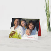 家族の写真メリークリスマスムースと松 シーズンカード (正面)