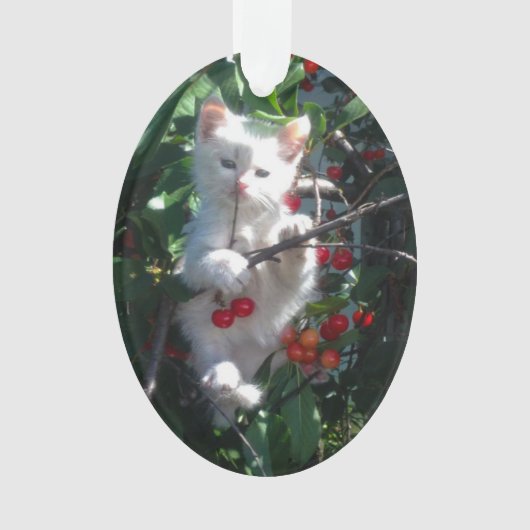 家族の思い出の猫の写真 オーナメント (正面)