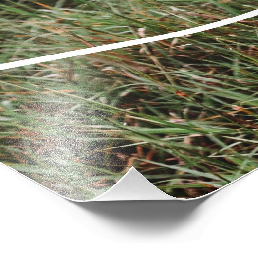 家族の愛のスクリプトのパーソナライズされた写真 フォトプリント            (角)