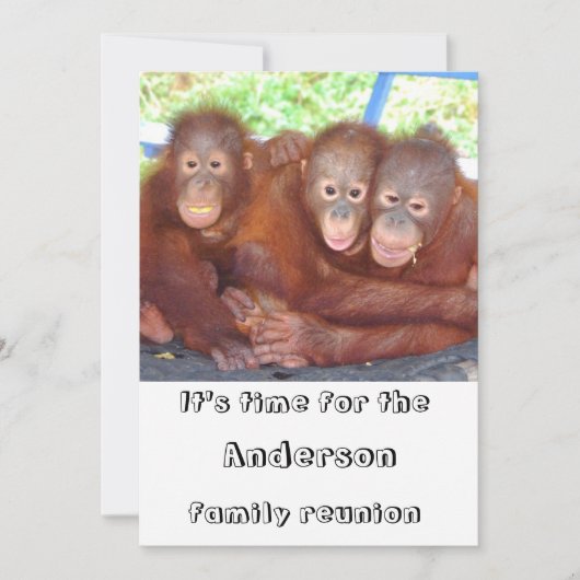 家族の懇親会おもしろいと可愛い 招待状 (正面)