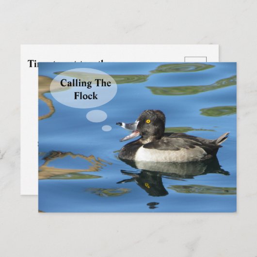 家族の懇親会が群れの鴨の発表を呼び出す ポストカード (正面/裏面)